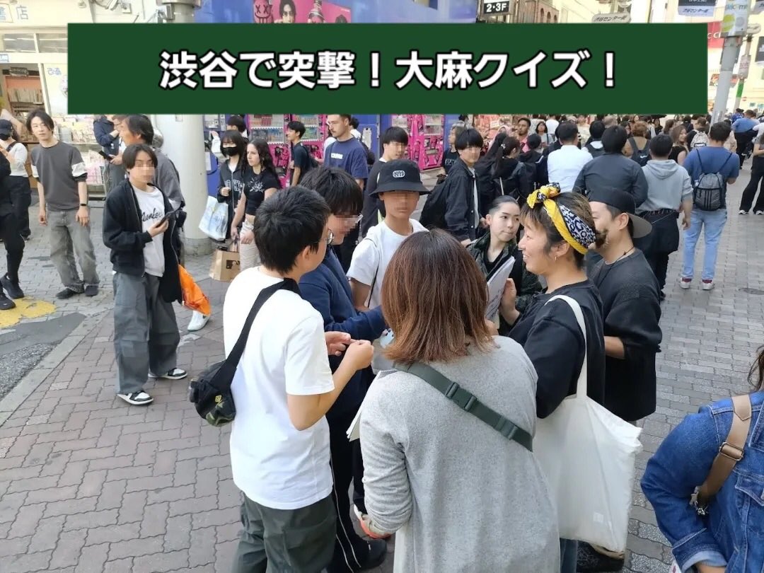 gmmtky's tweet photo. 🌱
​先日、渋谷のど真ん中で「大麻クイズ」を実施しました。

驚いたのは、若い世代の圧倒的な反応の良さ😲

​こちらが声をかける前に、自ら興味を持って足を止めてくれる子が本当に多かったです。

​一方で、眉をひそめるのは中高年層。
この「世代間の圧倒的なギャップ」こそが、足を使って得た今の日本のリアルです。

​現場でしか見えなかった集計結果はツリーに繋げます👇