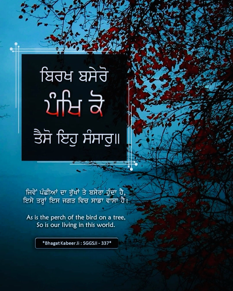 🌹🌹🙏🙏Waheguru ji🙏🙏🌹🌹 #punjab #viral #trending #socialmedia #instagram