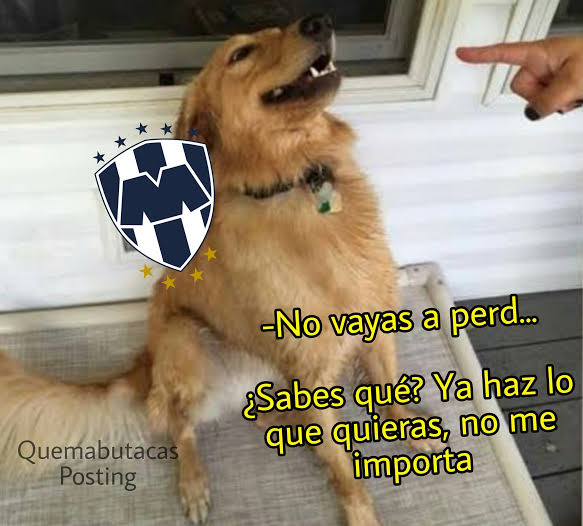 El Gera de León☣️ (@villdeleon) on Twitter photo 