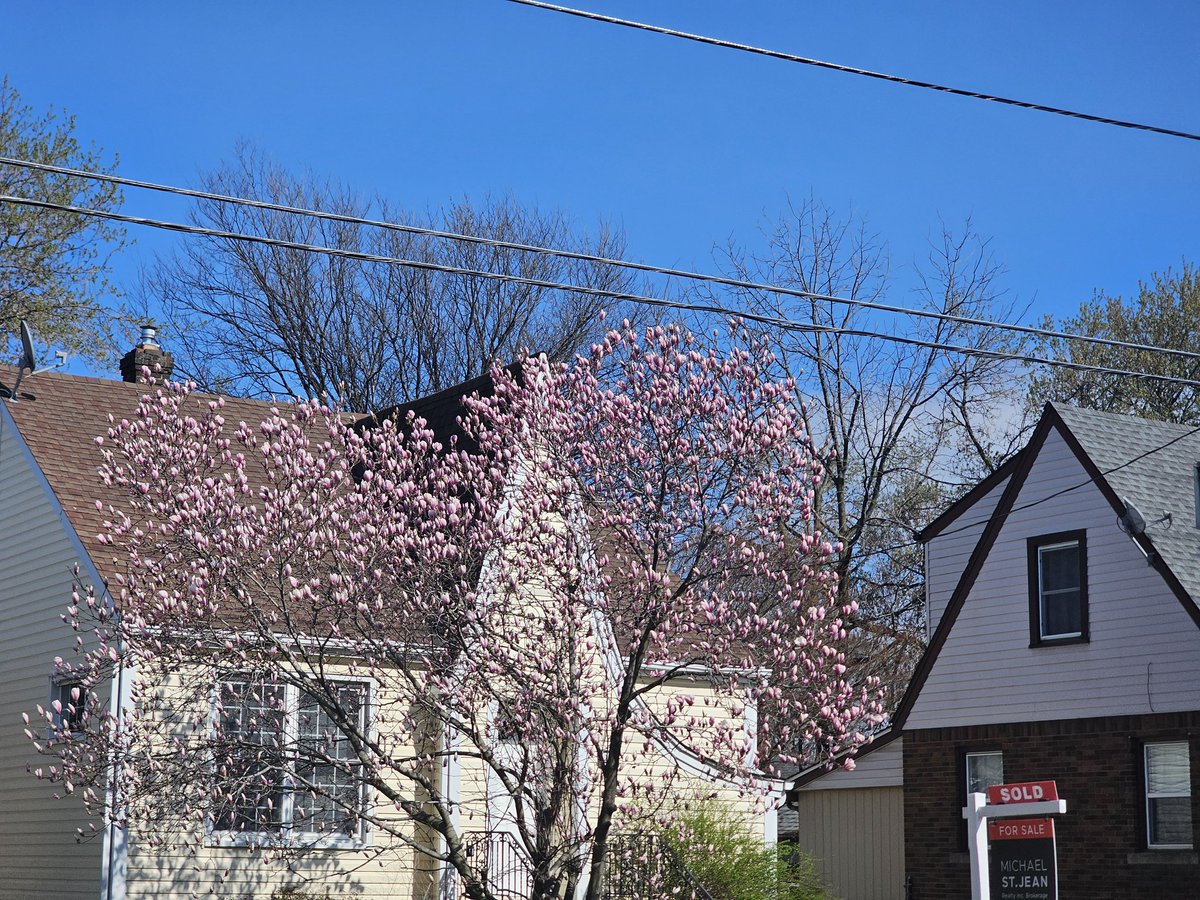 Gitendra 🇮🇳🍁☮️✌️ tweet media