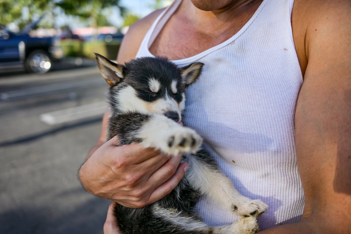 JoeyTuccio tweet media