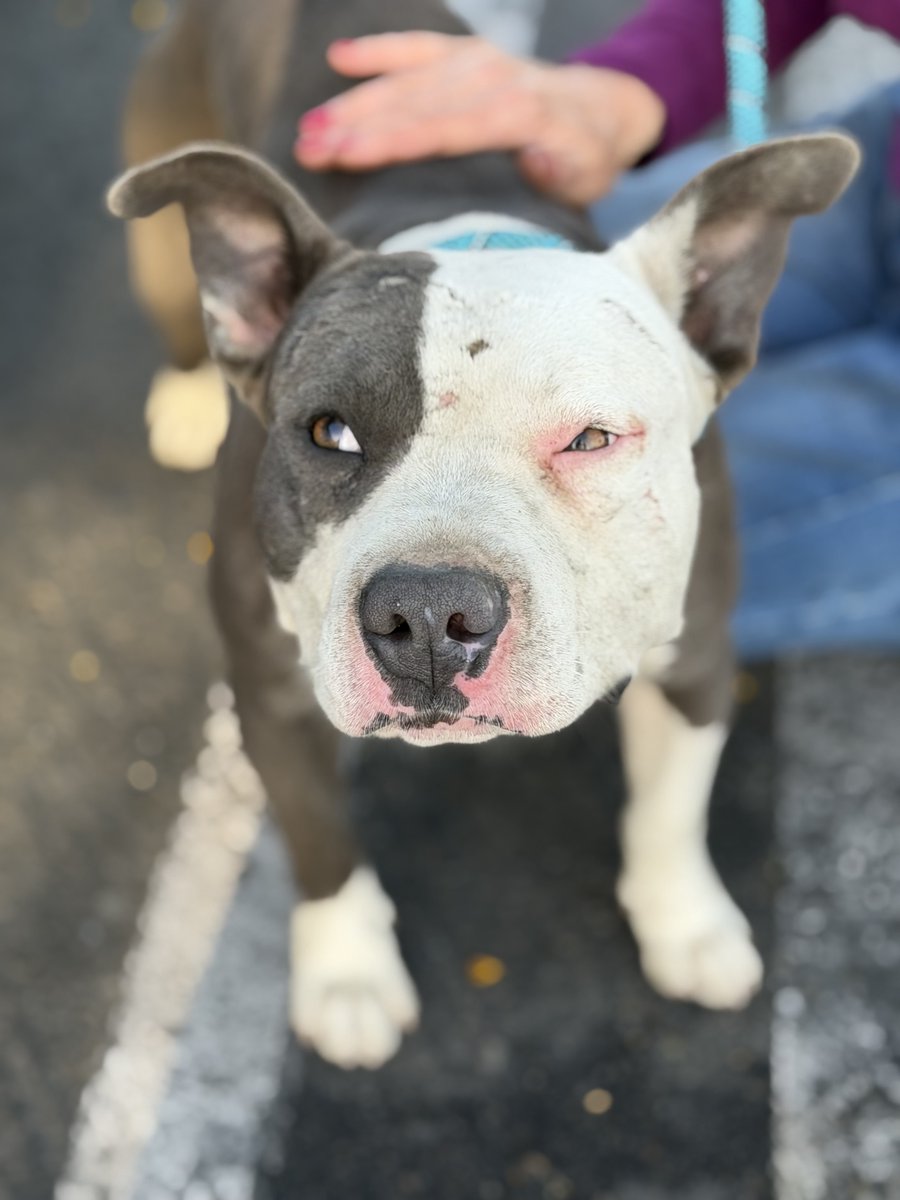 JoeyTuccio tweet media