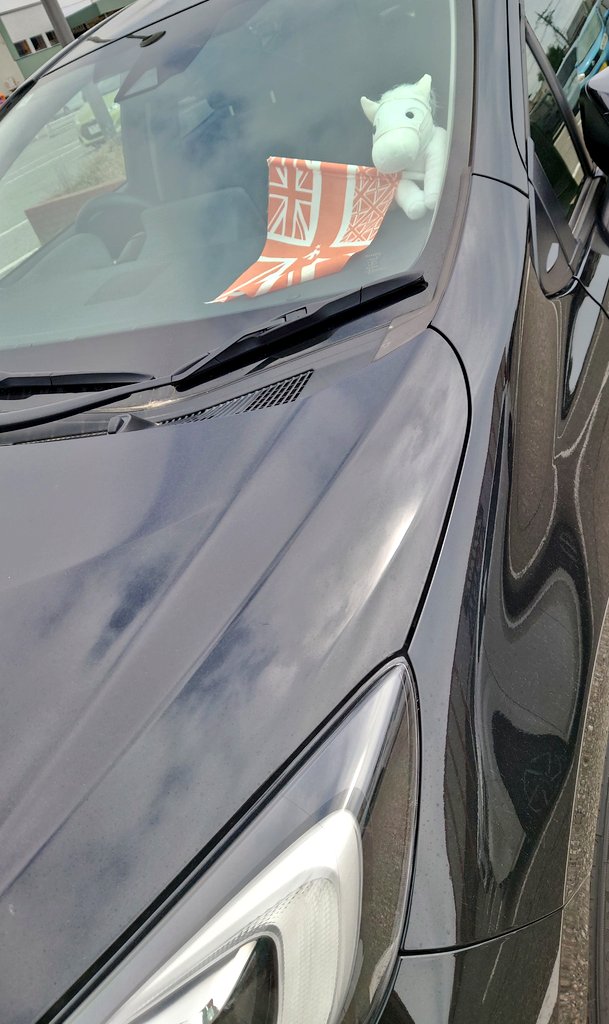 たいが tweet media