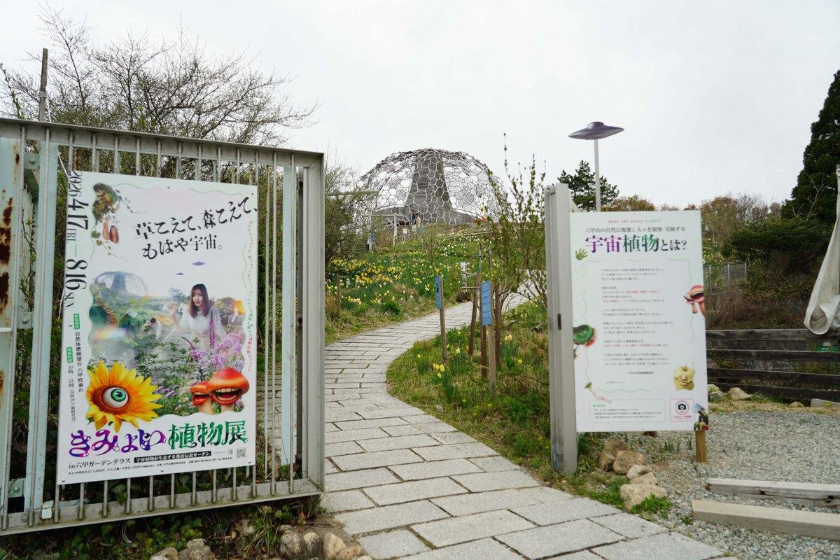 mu_gekkan's tweet photo. 宇宙植物？

AIが生成した悪夢が現実に!? 神戸市の六甲山に“都市伝説ガーデン”が出現している https://t.co/6uUCyBBBhT https://t.co/eWqgcwfASp