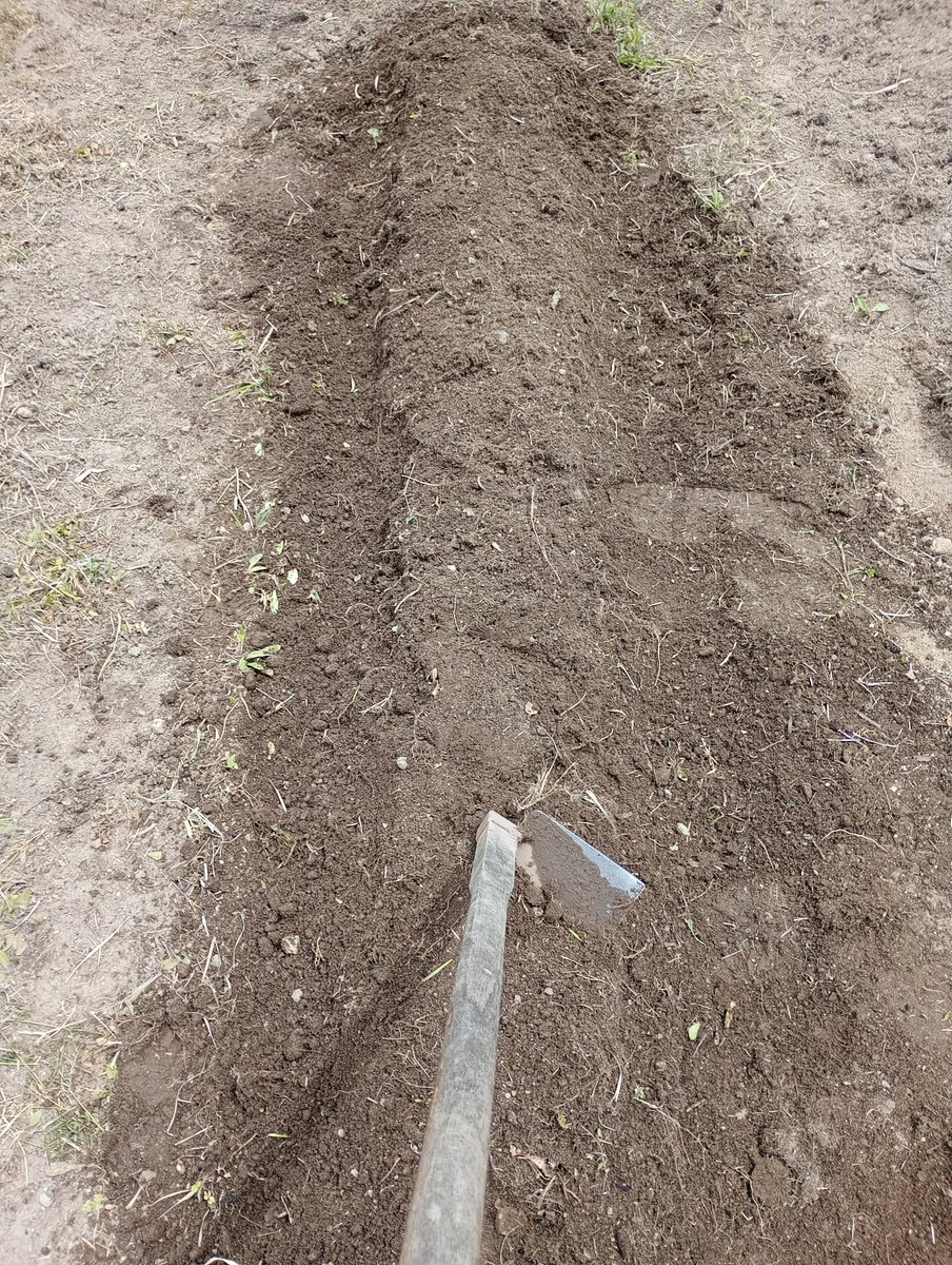 木下智哉＠バリバリ作詞&作曲家 tweet media