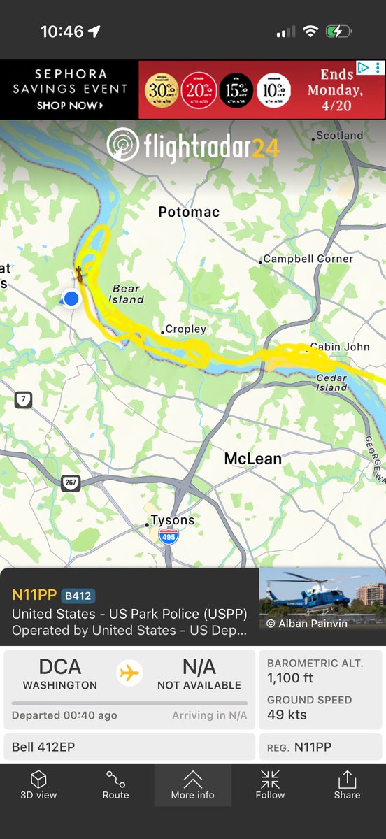 Sarah Anderson tweet media