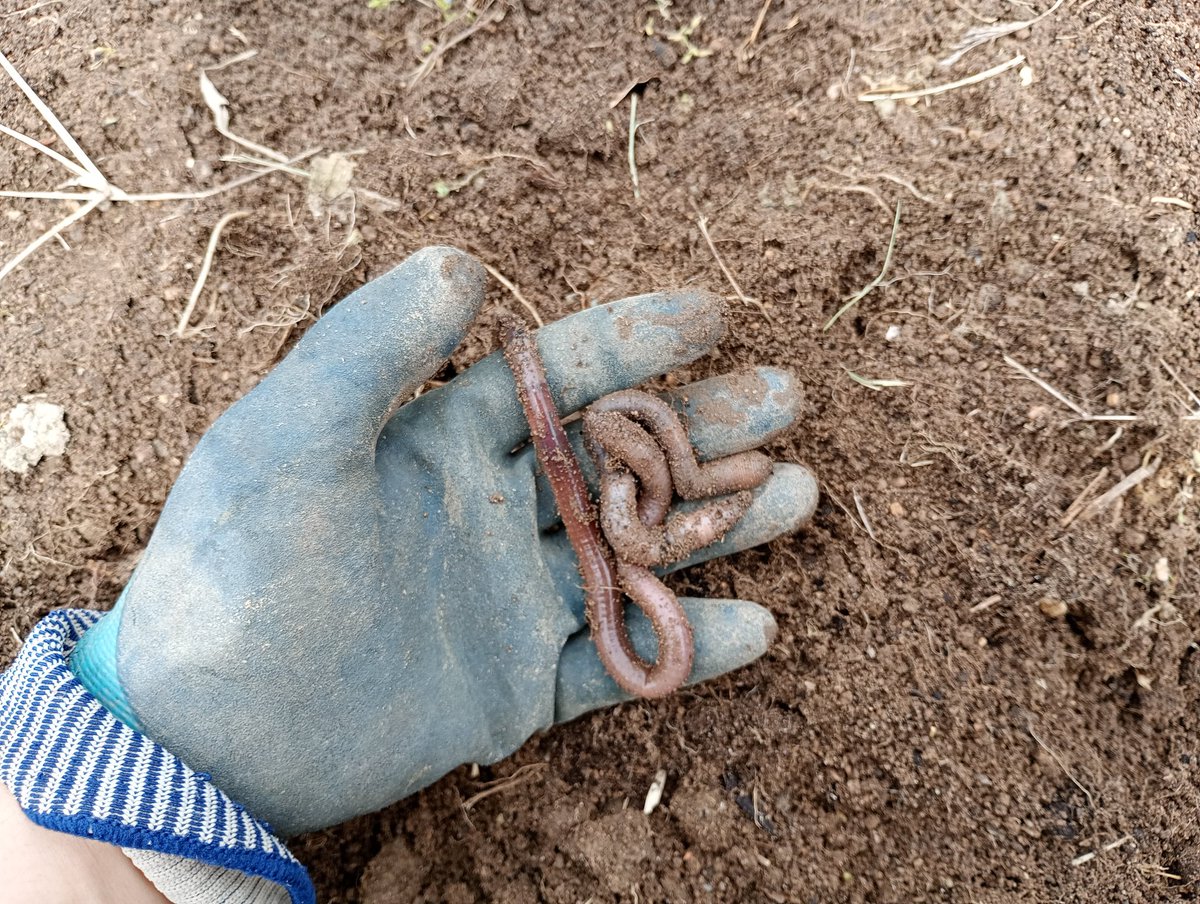 木下智哉＠バリバリ作詞&作曲家 tweet media