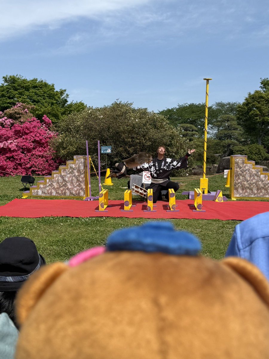 【公式】ぽんちゃん（群馬県館林市） tweet media