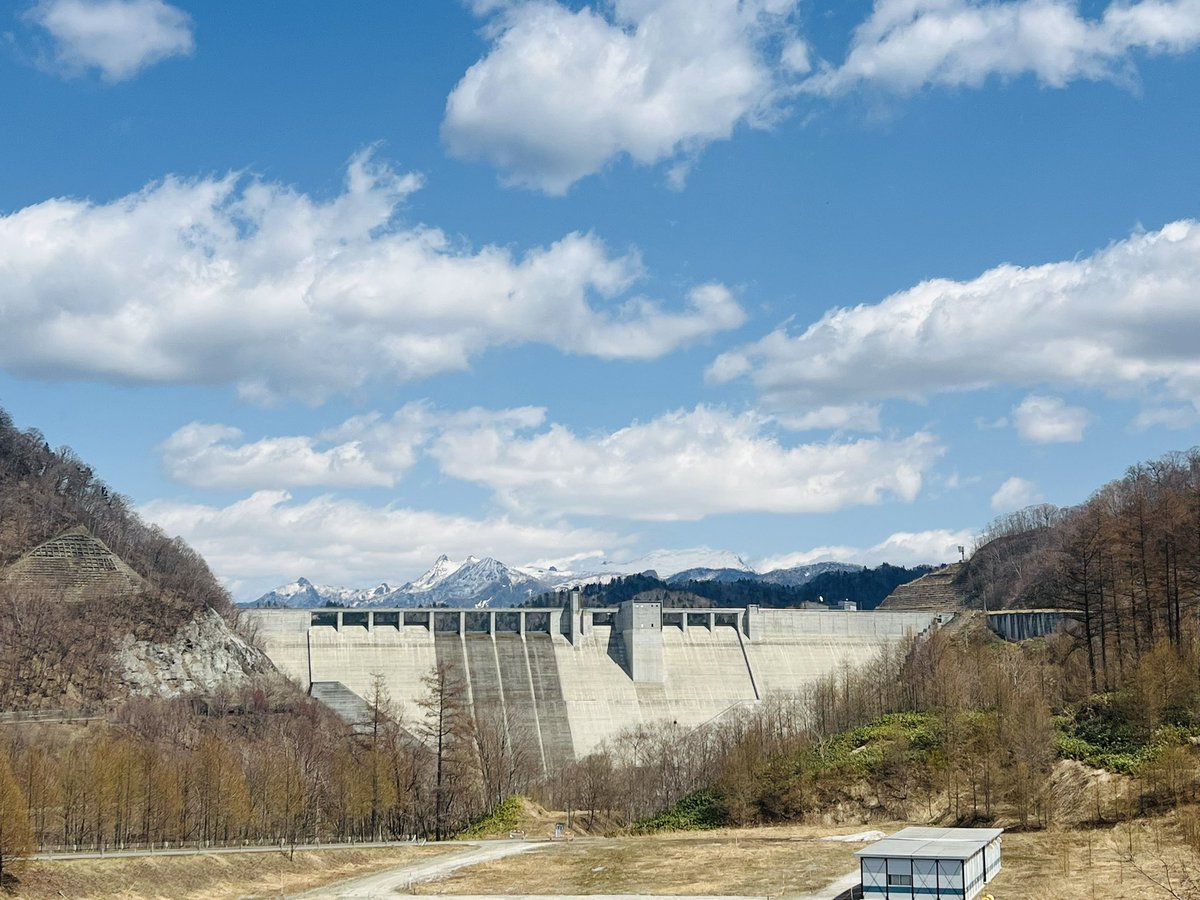 Akir'a'（尾山 玲） tweet media