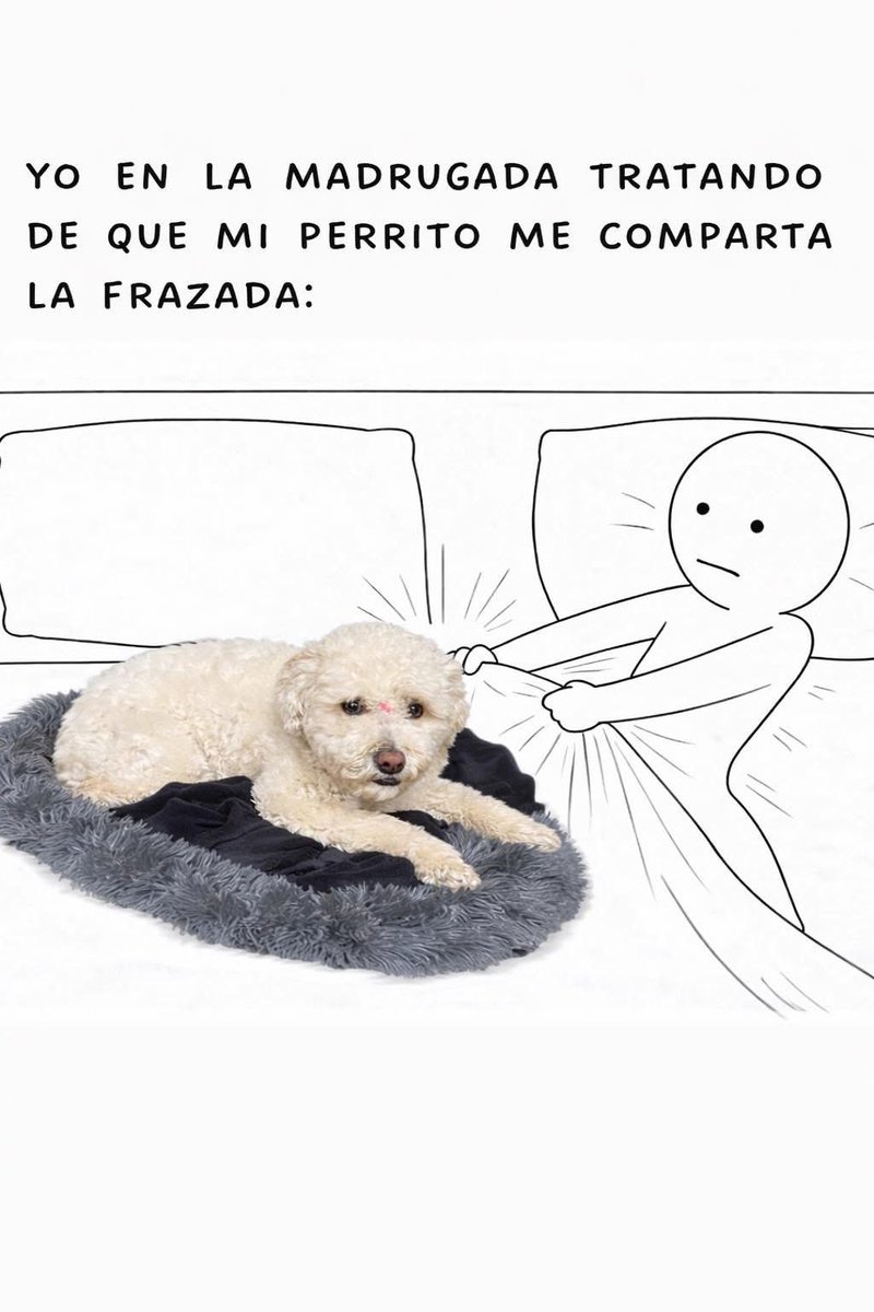 flantasma (@flantasma1) on Twitter photo 