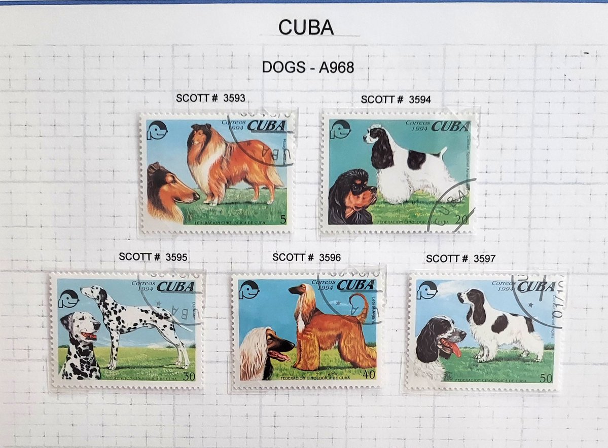 AngelaRienerth's tweet image. !!!30% off!!! Cuba Stamps, Vendor #629, available at Blue Crow Antique Mall, Painter, Va. @bluecrowantiques #cuba #stamps #dogs #A968 #stampcollectors #philatelists #vintage #antique #collectible #collector #collection #collectorsarewatching