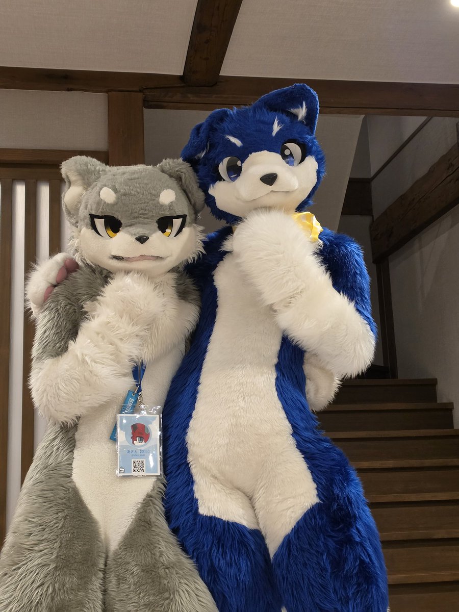 sretkm's tweet photo. #もふだらけ

はいいろーとがさぶろー会いたかったからうれぴ！ https://t.co/GAOb2oyx7Y