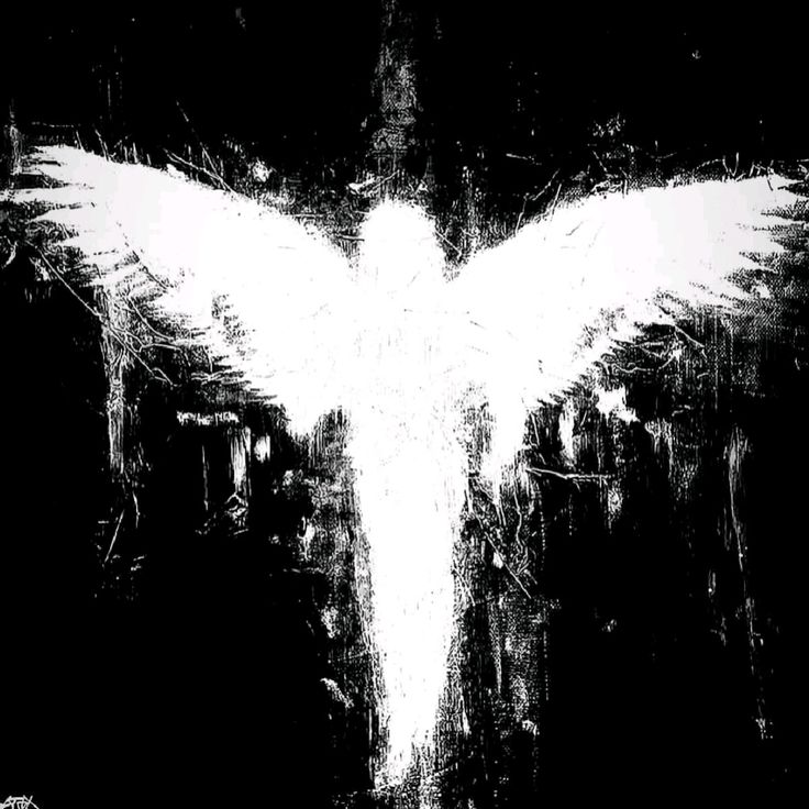 keirexia tweet media