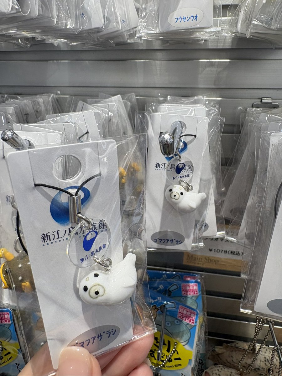 ねえｗｗｗｗｗｗｗ