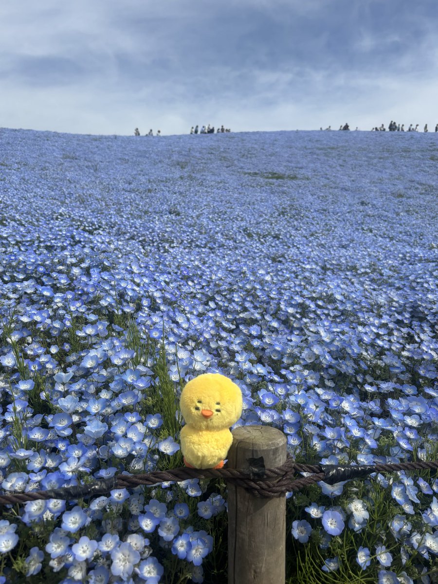 そうこ tweet media