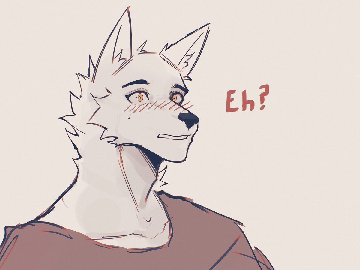 connr07.bsky.social tweet media