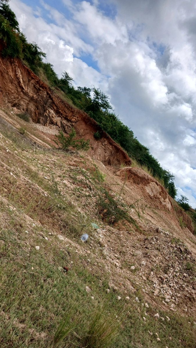 Character Mabunda tweet media