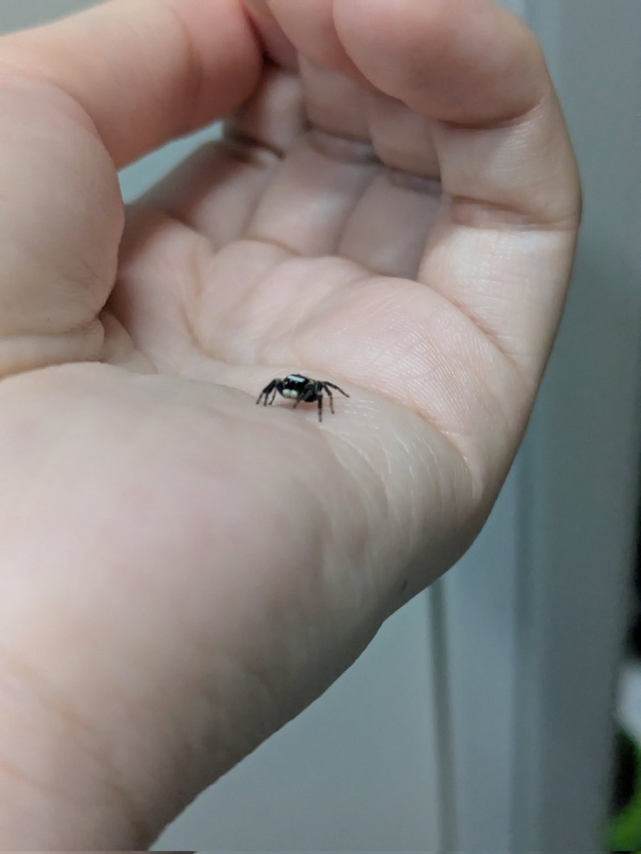 ゆるこ tweet media