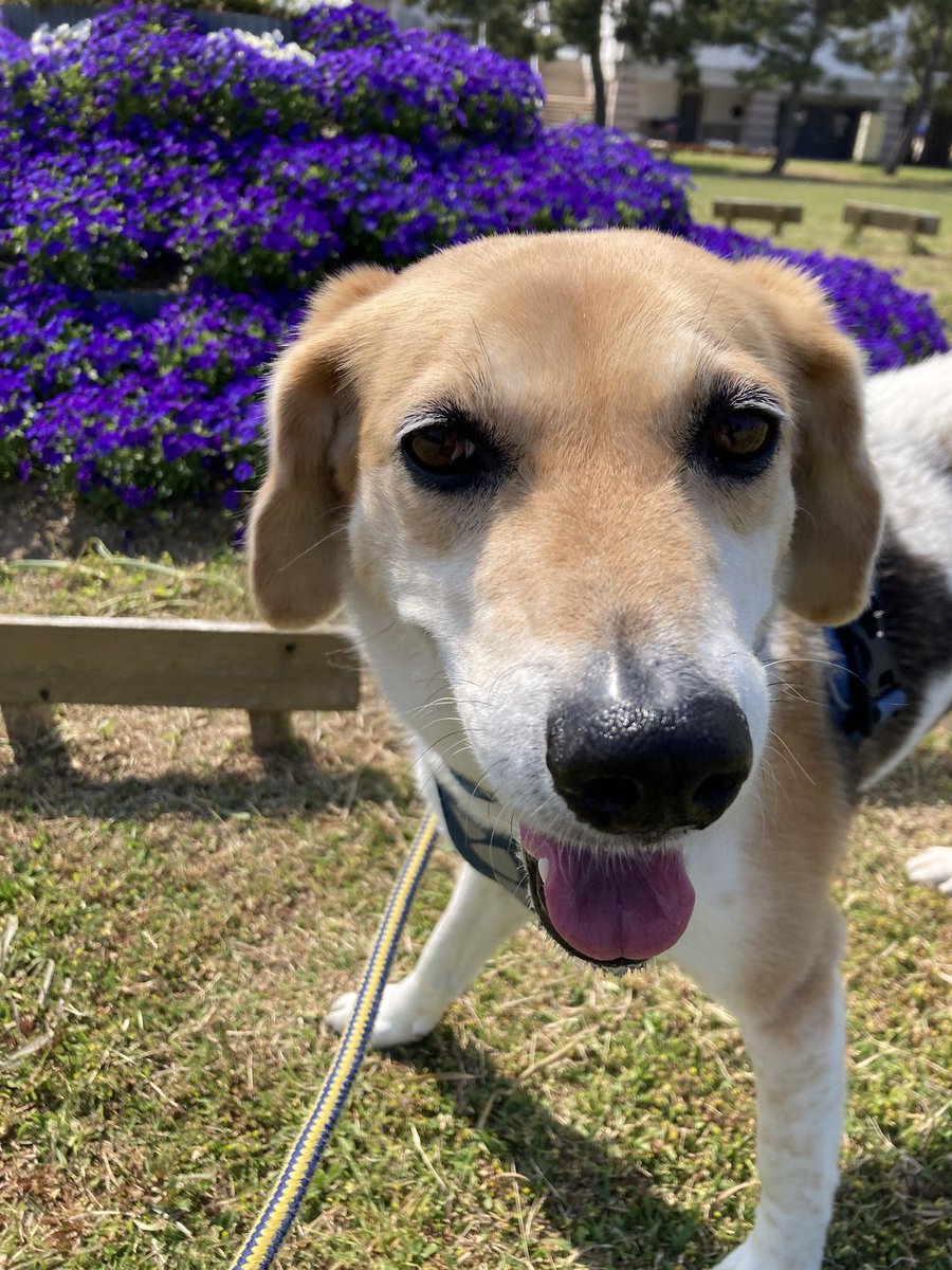 おじいちゃん tweet media