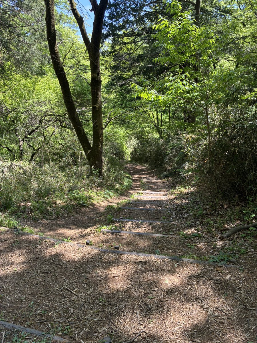 永遠の詩 tweet media