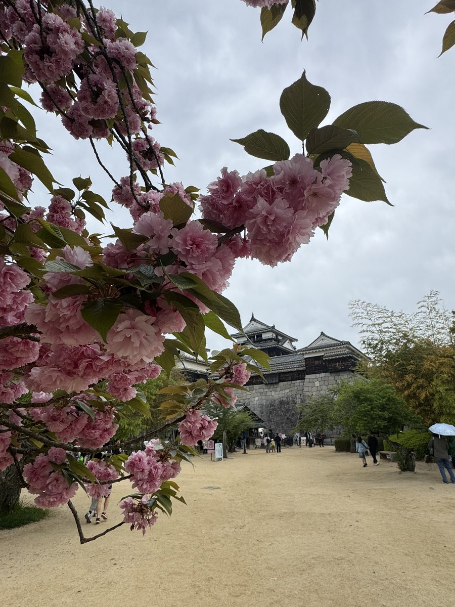 たけ@へむへむ🍊 tweet media