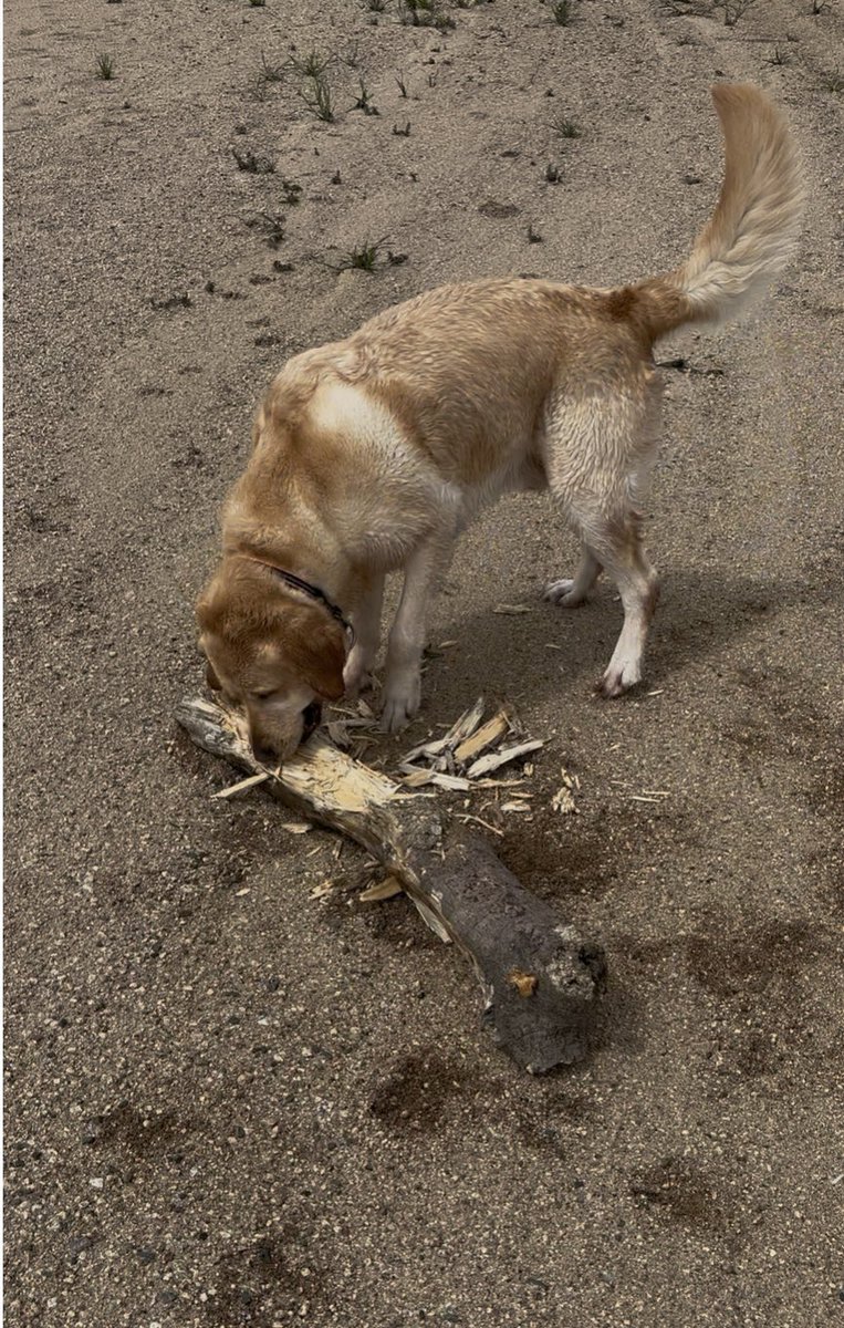 KURO & L tweet media