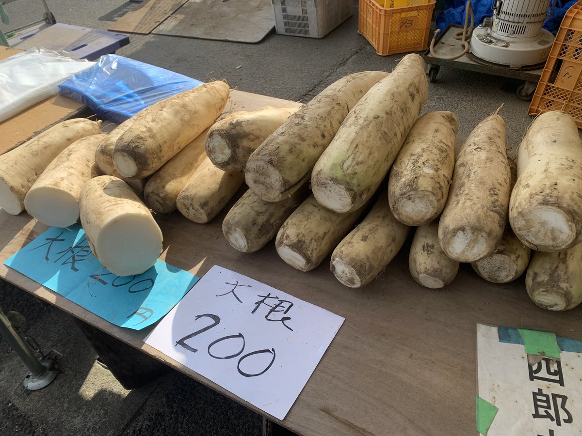 高杉奈緒子NAOKO TAKASUGI聴覚障害者オートバイロードレーサー tweet media