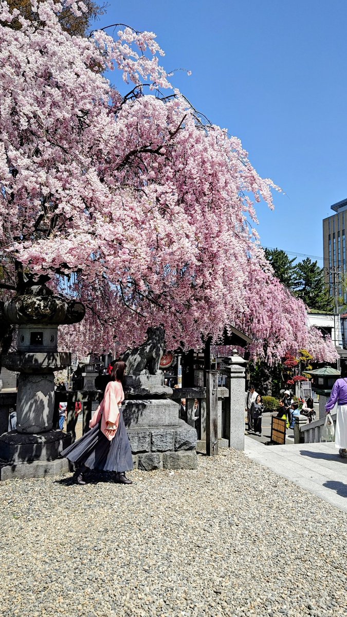 404 not found tweet media