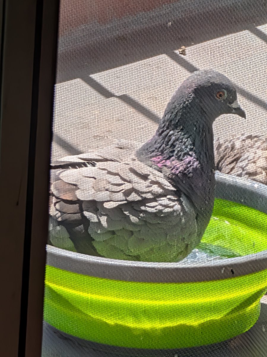 hamp＠モノ書きお仕事募集中 tweet media