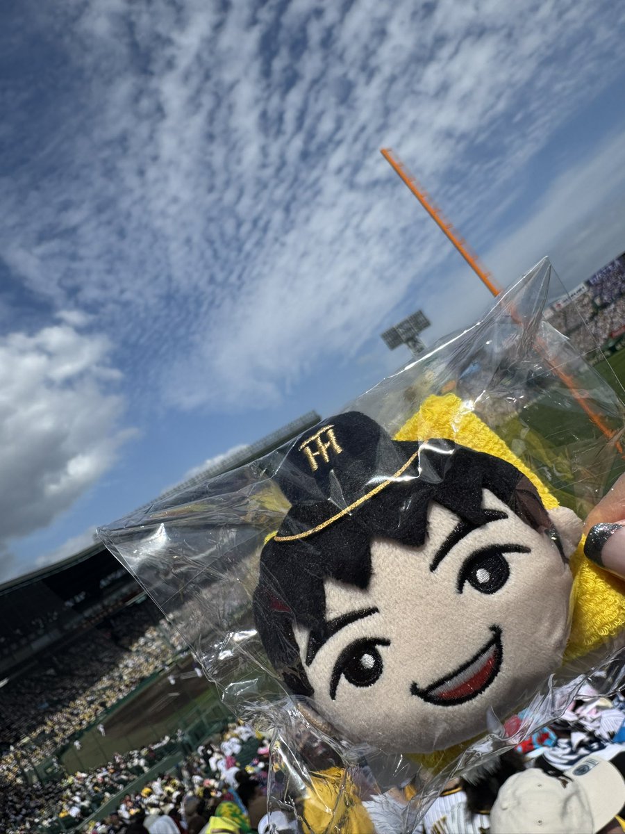 ちぇり ⚾️🏐 tweet media