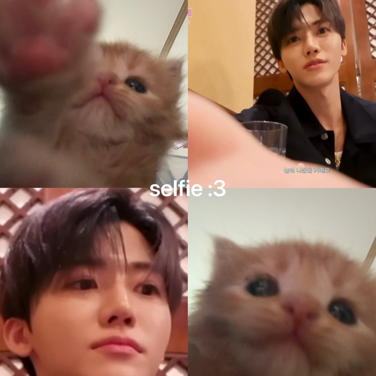 ִ (@njmhae) on Twitter photo 