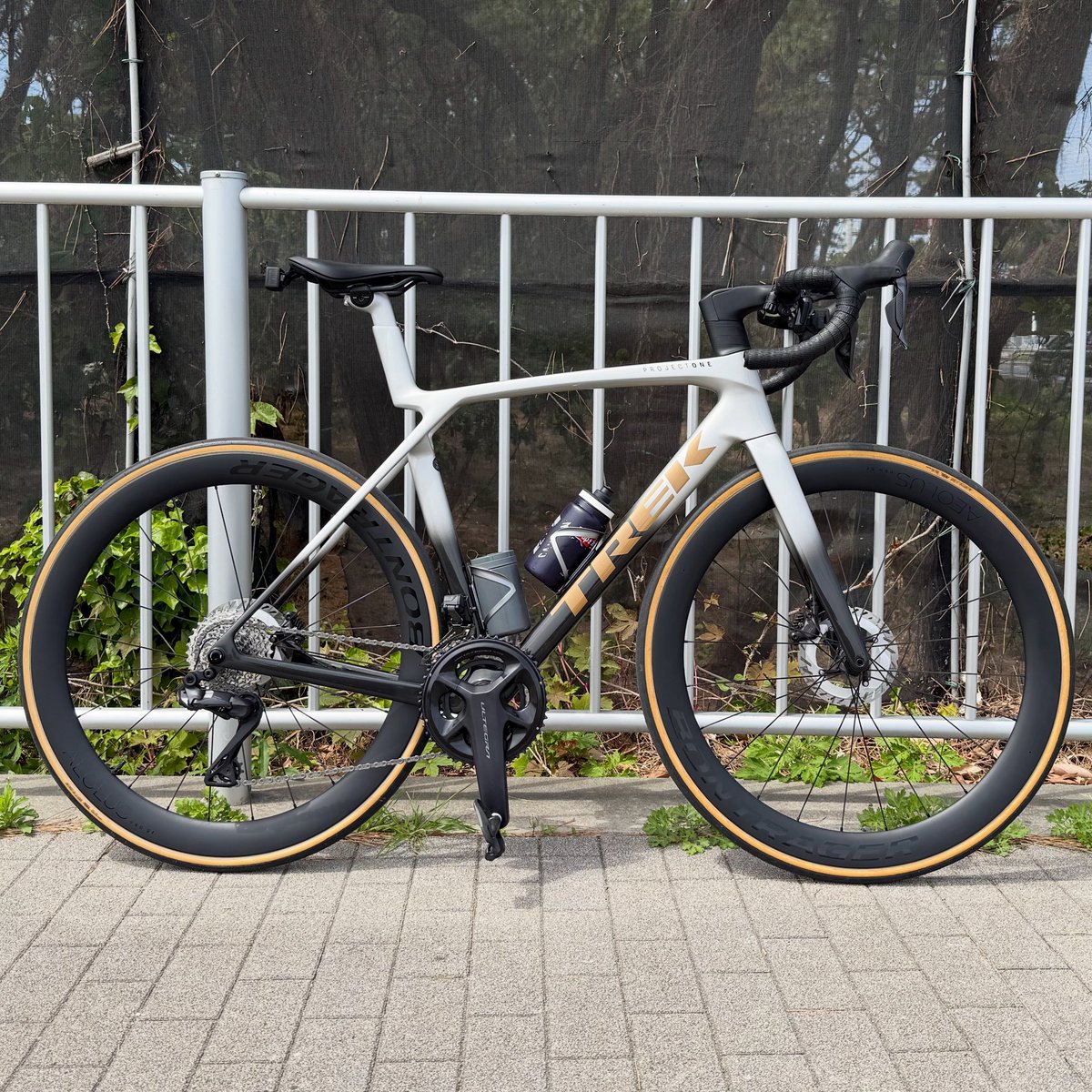 100_Colors's tweet photo. 走りやすい季節になりました

#ロードバイク 
#PROJECTONE 
#TREK 
#Madone 
#MadoneSLR https://t.co/yiVdZ53Ifz