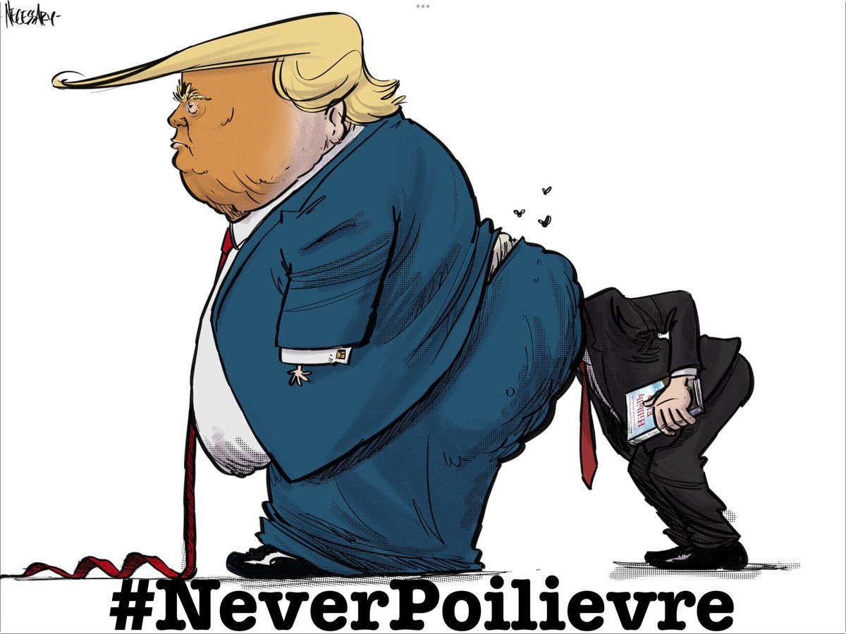 Lady_Marushka's tweet image. #Canada rejects MAGA, CPCMAGA, tRump &amp;amp; #NeverPoilievre

Thankful for this.

#cdnpoli