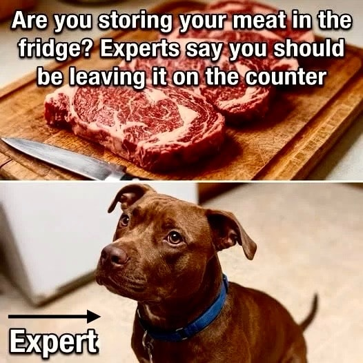 Red Rattler tweet media