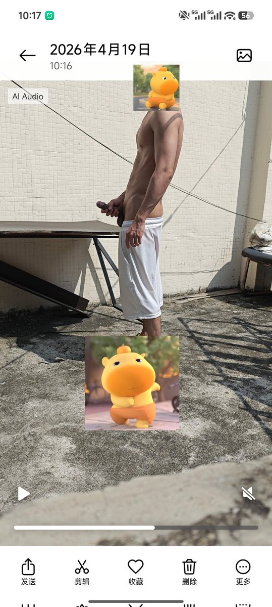 大白菜(广州) tweet media