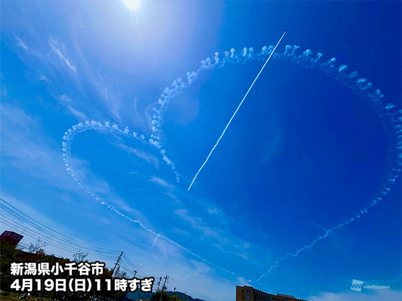 ウェザーニュース tweet media