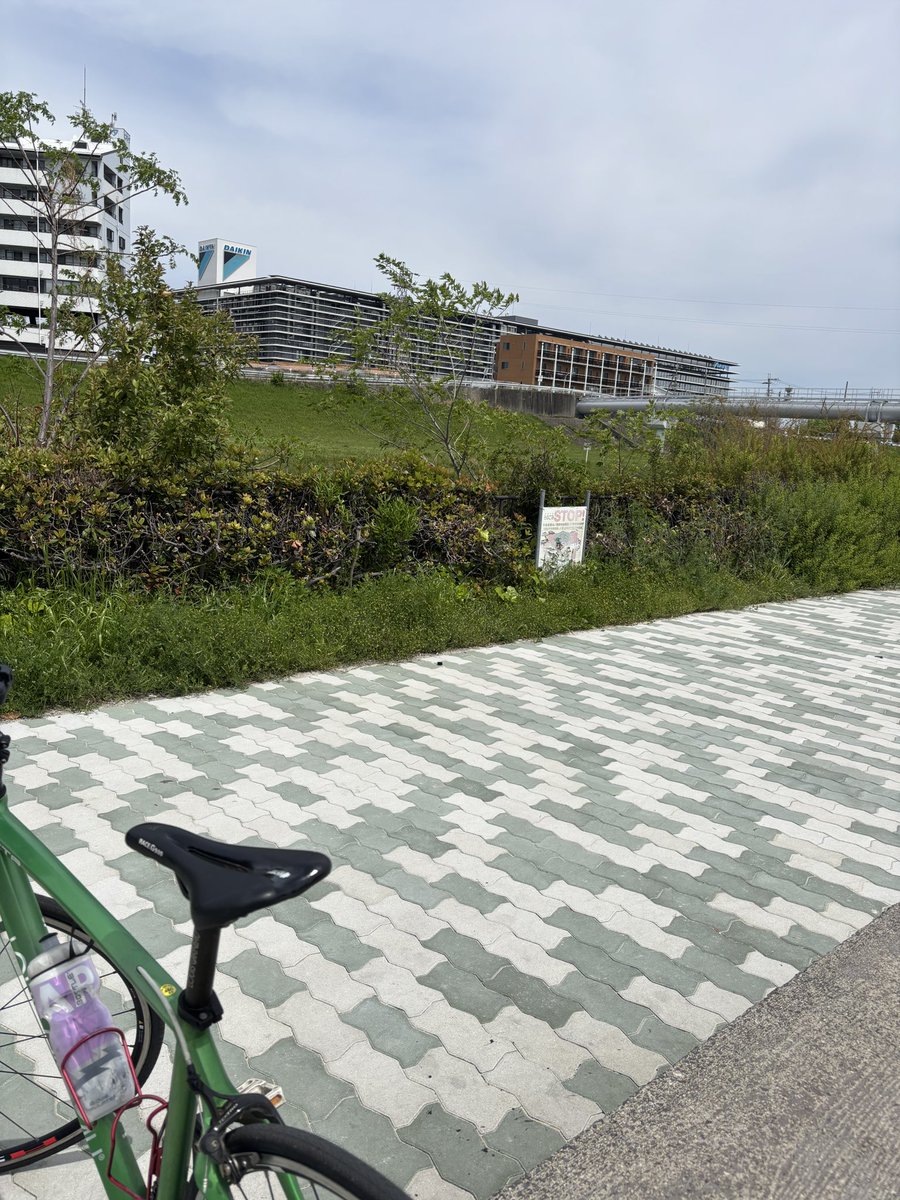 中津=じお=ユキ（3人目） tweet media