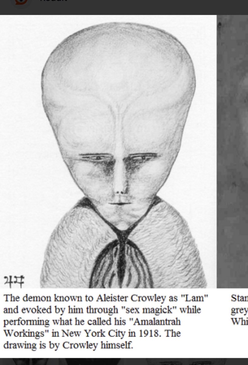 Noahs Ark Scans tweet media