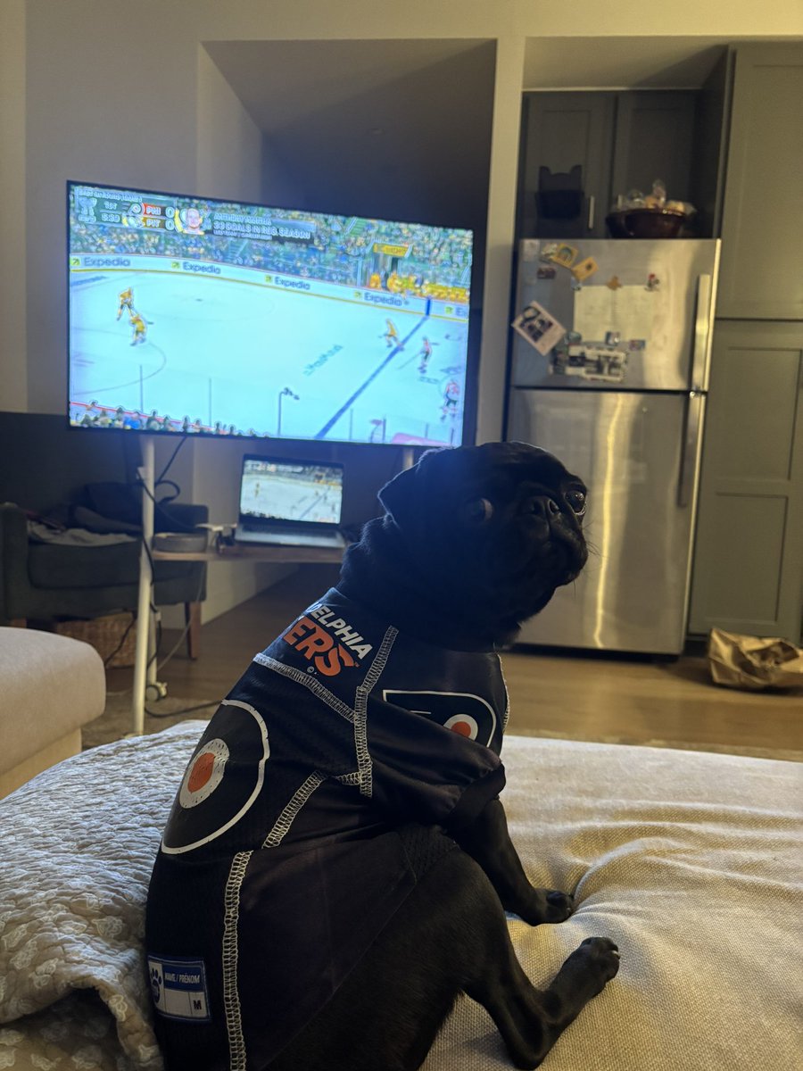 maybe: sasha tweet media