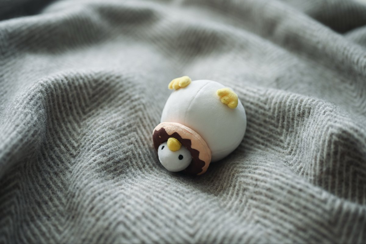 もんとみ｜もっちり動物造形作家 tweet media