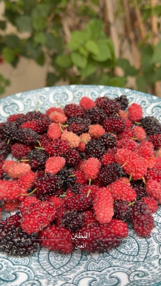 ميثاء💜 tweet media