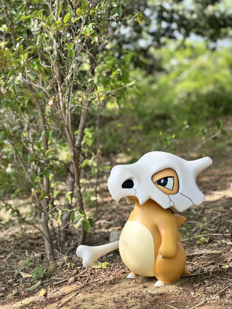 mayn25dimension's tweet photo. 鳴き声が印象的だったカラカラ
#ポケパークカントー https://t.co/7VLkUrNPAo