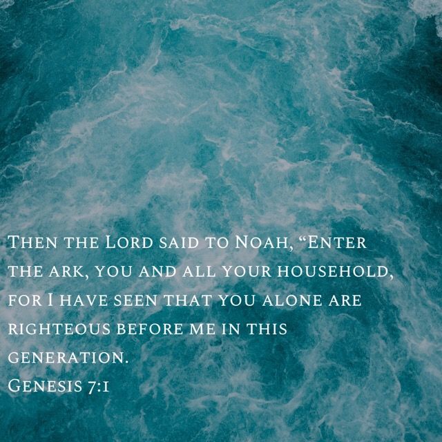 jacob_zhimomi's tweet image. Blessed Sunday!
#Nagaland #Christianity #Gospel #Sunday #Bible