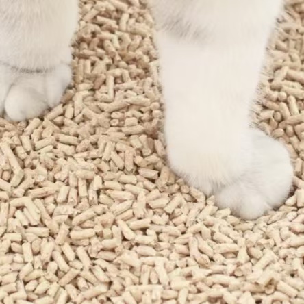 LANFNEGHANG's tweet image. Biodegradable, safe and gentle for cats.   #SustainableLiving #EcoDesign #HomeEssentials #GreenProducts  #fyp