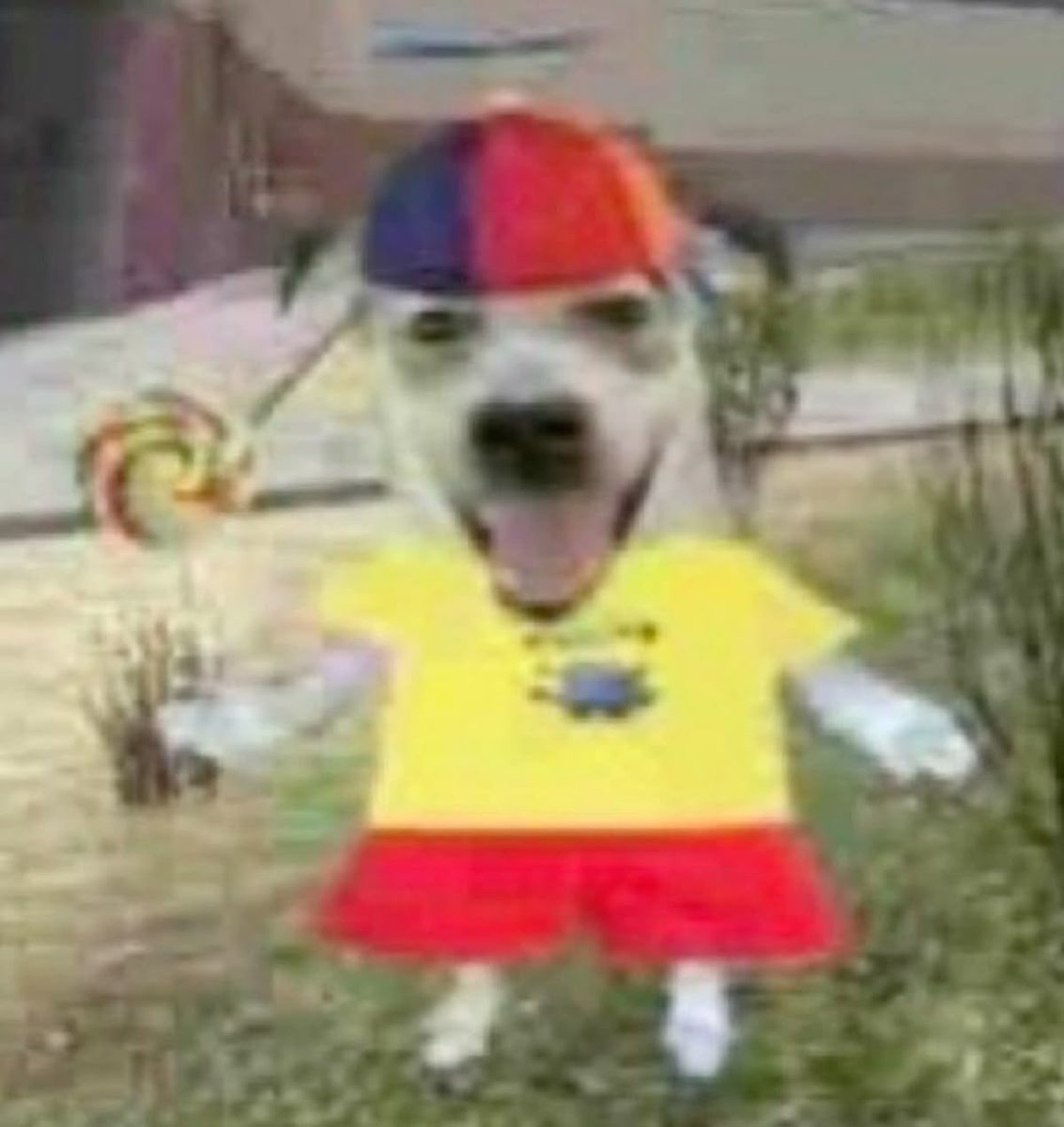 estoy en un asado en lo de mi tío y su sobrino de 14 años contó q ya tiene novia y todos le dicen q grandeeee mientras yo con 19 estoy pensando q cartas de pokemon m voy a comprar esta semana