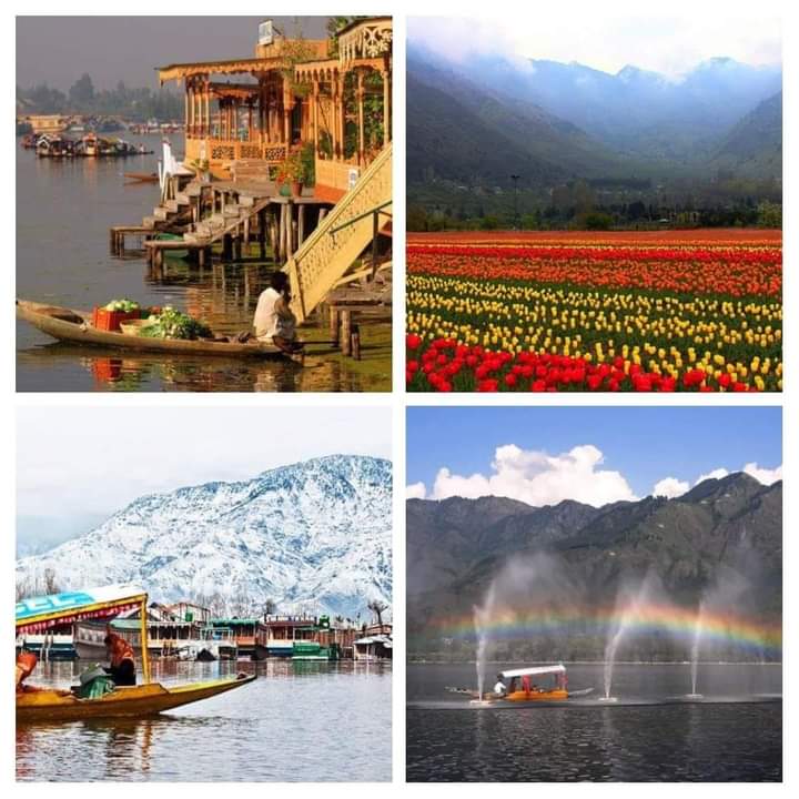 chavianupamjain's tweet image. #Creative - Creative और intelligent लोगों की पहचान होती है, कि वो लोग हमेशा busy रहते है ! उनके Creative #दिमाग में बहुत से ideas, tasks, Plans, शरारतें जन्म लेती रहती है ! वो 1 minute के लिए भी खाली नहीं बैठते ! वो लोग खाली बैठ ही नहीं सकते ! - छवि अनुपम  #chavianupam #छविअनुपम