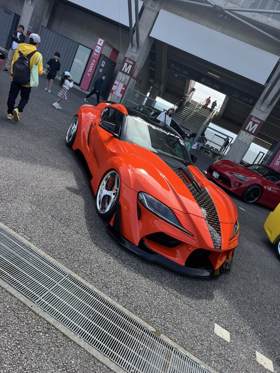 かおる🐾 tweet media
