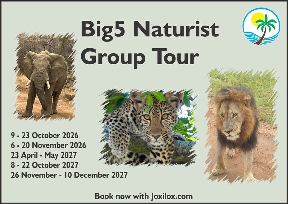 Joxilox Tours South Africa tweet media
