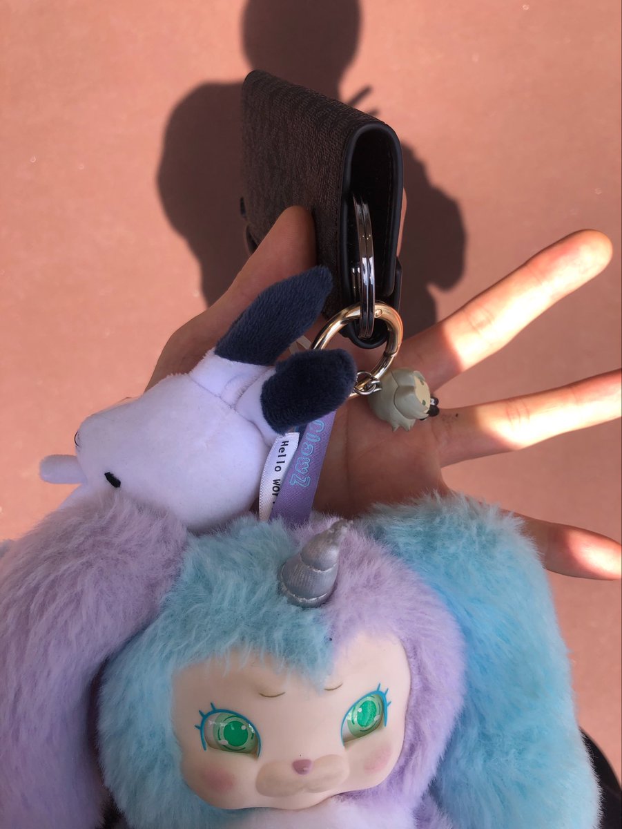 解体屋の猫👑 tweet media