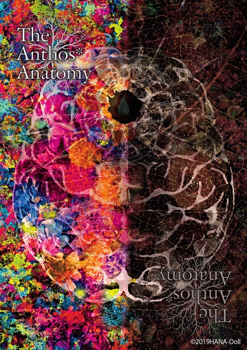 Amagiri_Prod's tweet photo. ━━━━━━━━━━━━
#華Doll
『The Anthos* Anatomy』📖
━━━━━━━━━━━━
\✨推しメンバーを選べる✨/
🚨有償特典ご予約は【本日】まで!🚨
💐商品詳細💐
https://t.co/nwQFPoBGmv
本日がご予約ラストチャンス!
お見逃しなく👀💥
#華ドル #hanadoll #Anthos https://t.co/G8qjy4InZl